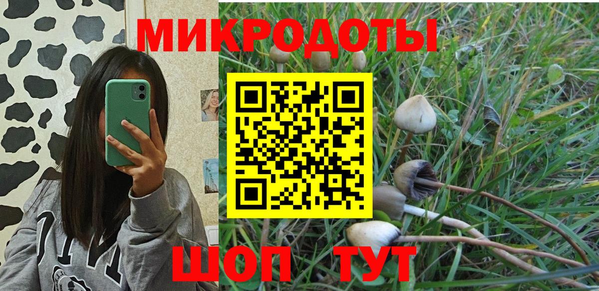 Псилоцибиновые грибы MAGIC MUSHROOMS  Вход с VPN  Луга 